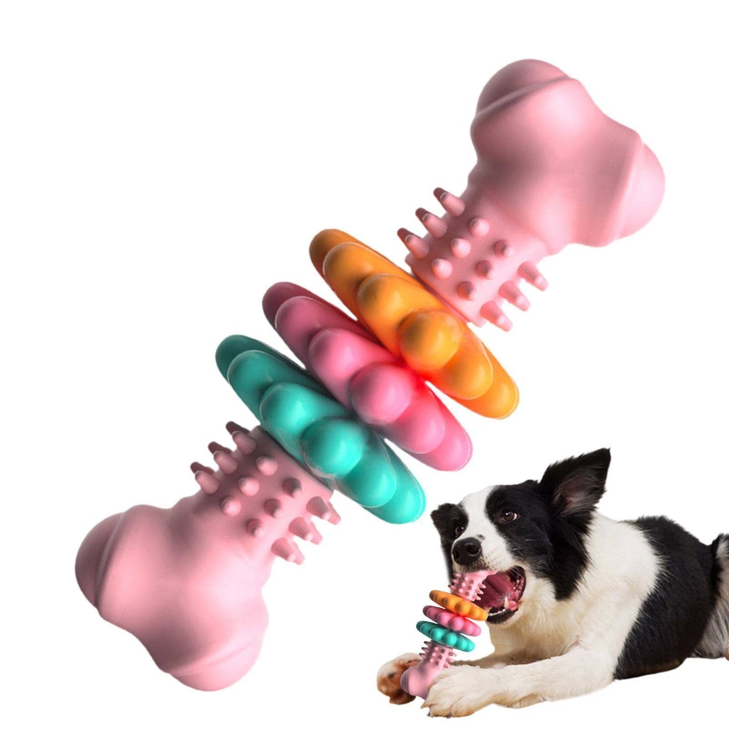 Jouet à mâcher pour chien