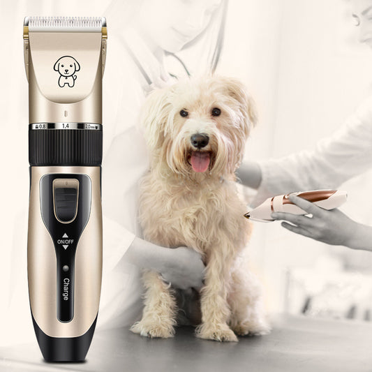 Rasoir pour Chiens