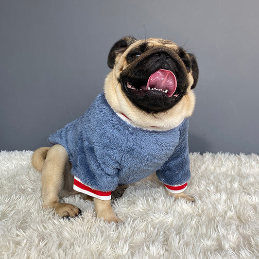 Sweat pour Chiens