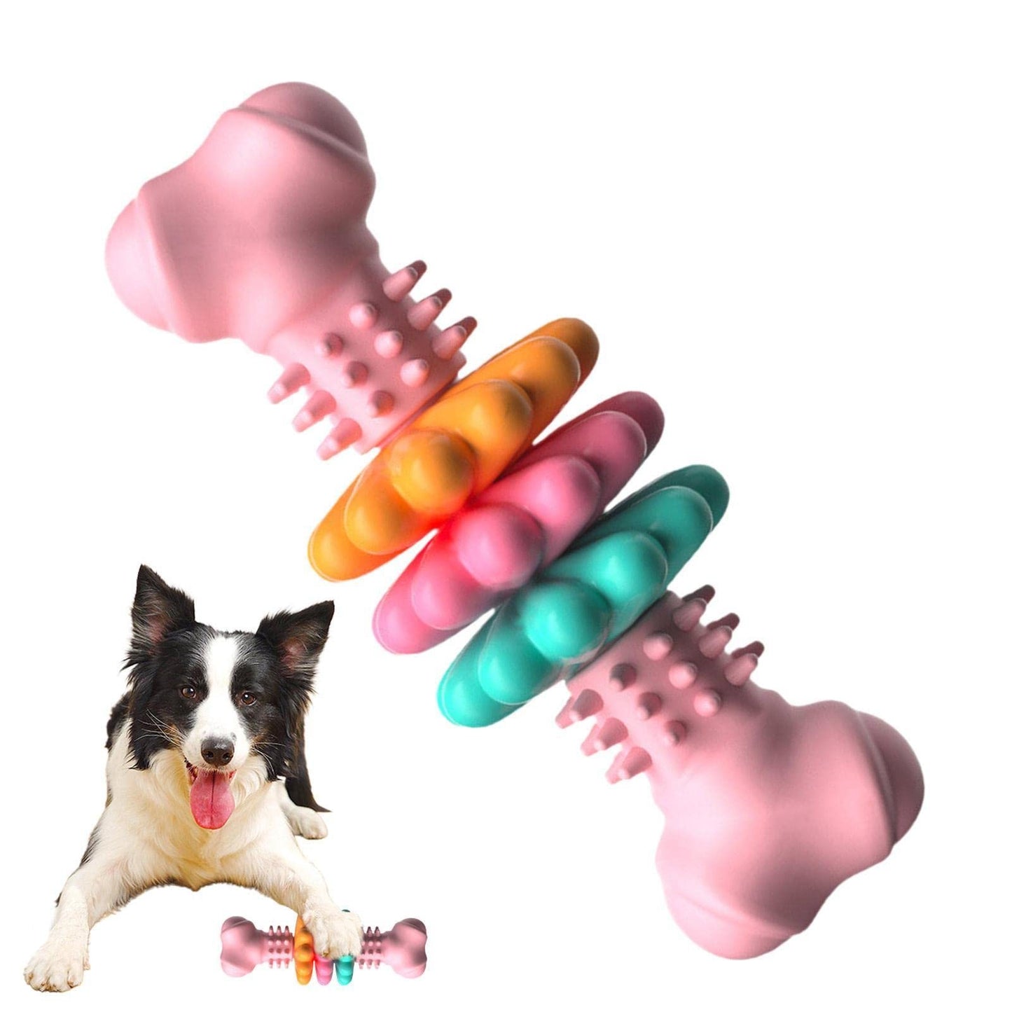 Jouet à mâcher pour chien