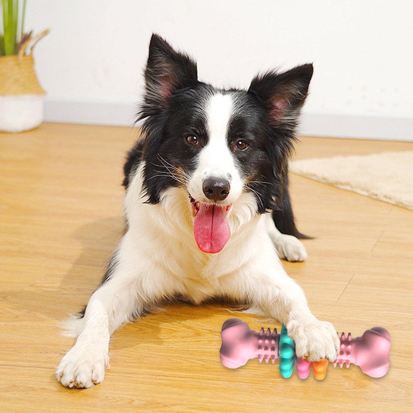 Jouet à mâcher pour chien