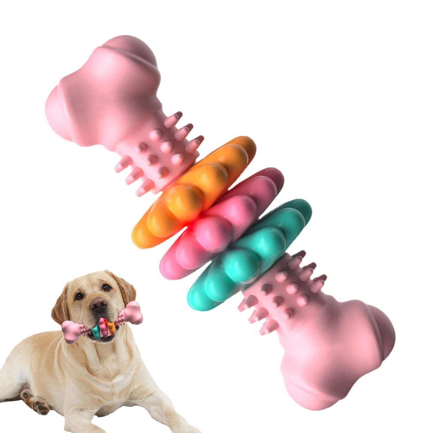 Jouet à mâcher pour chien