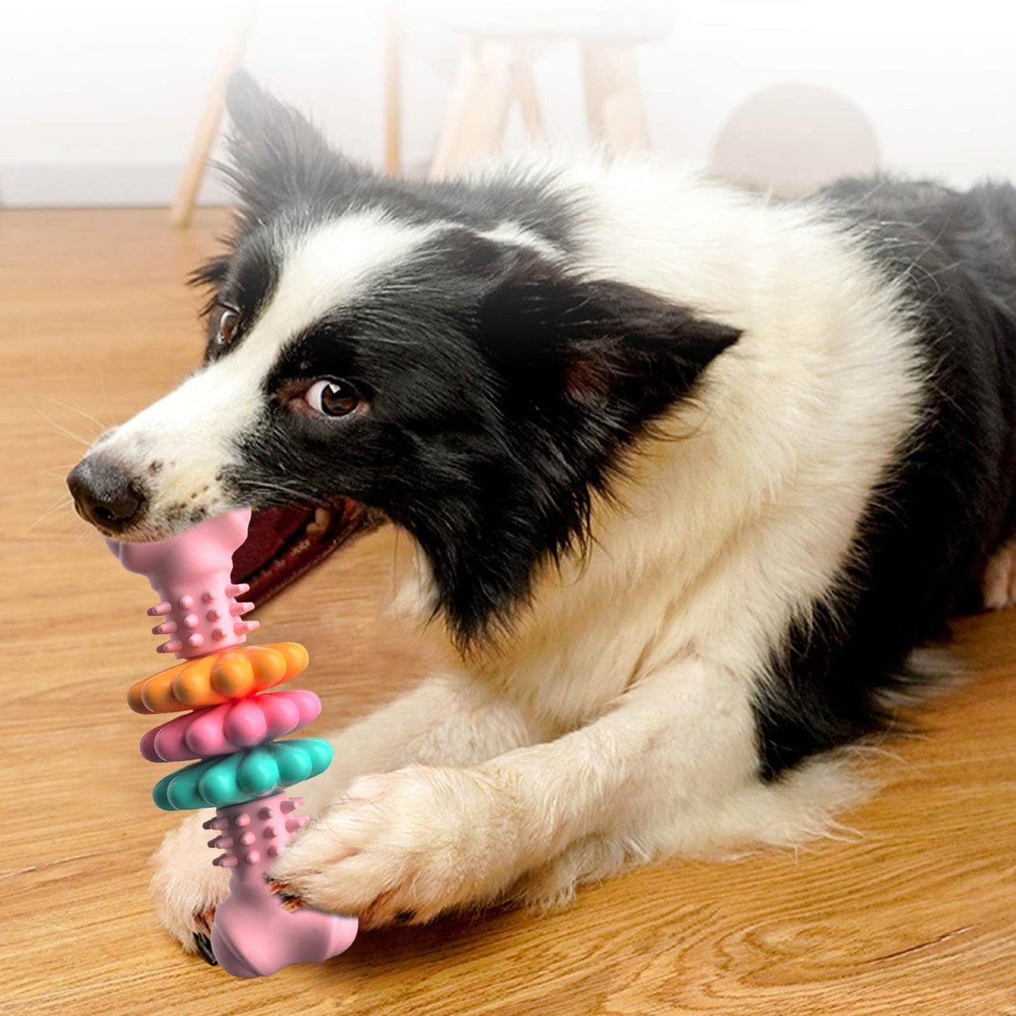 Jouet à mâcher pour chien
