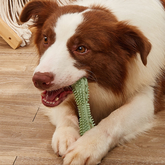 Jouets à mâcher pour le nettoyage des dents du Chien