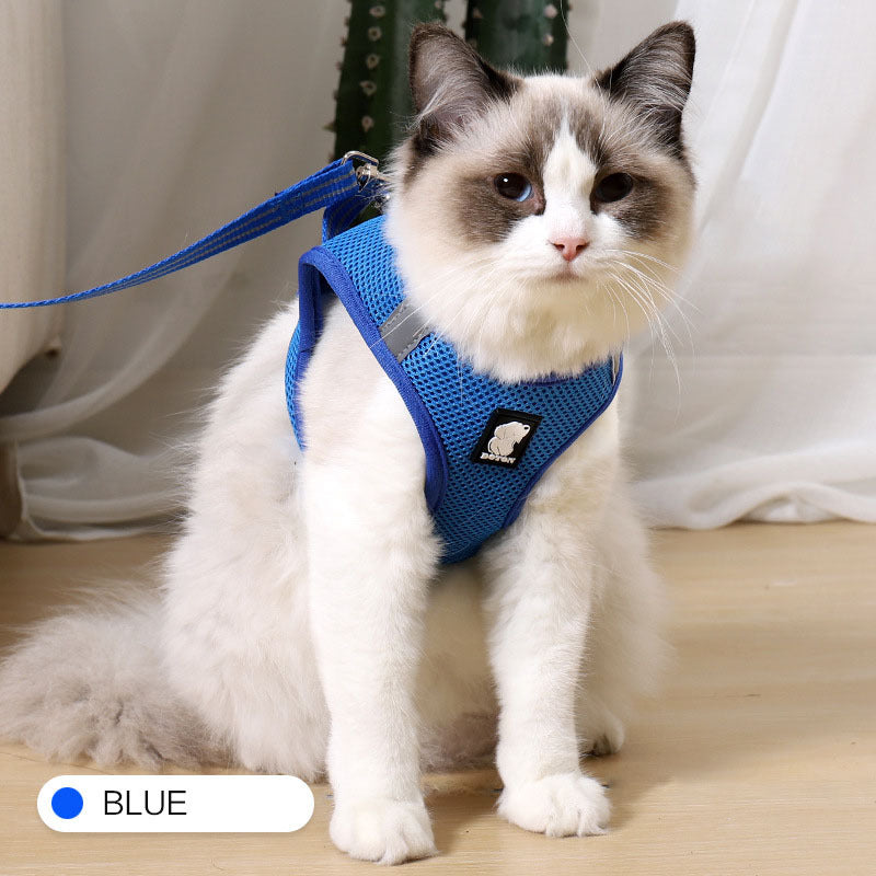 Harnais anti-fugue pour chat de traction