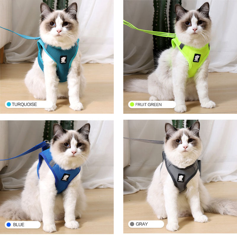 Harnais anti-fugue pour chat de traction