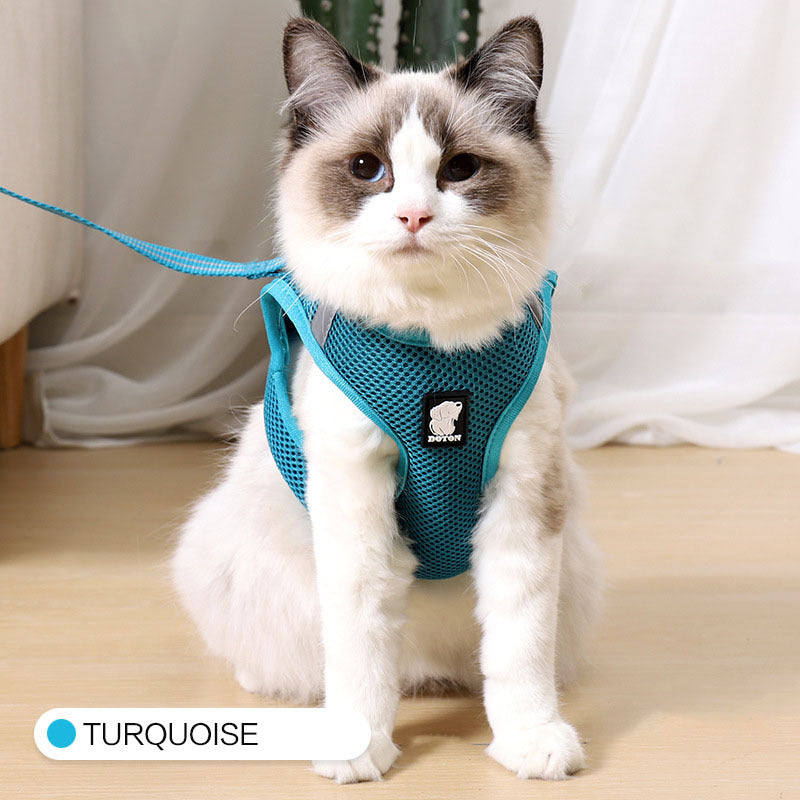 Harnais anti-fugue pour chat de traction