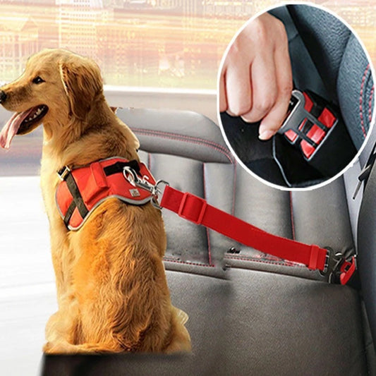 Laisse de Sécurité pour Chien en Voiture - Attache Réglable et Résistante