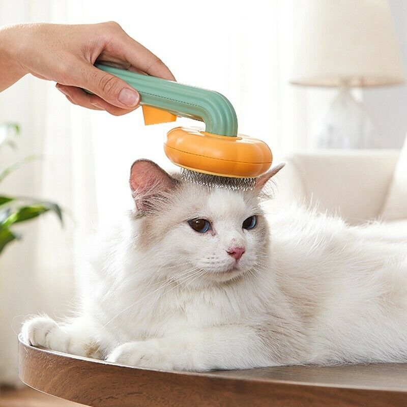 Brosse à poils pour Chiens et Chats