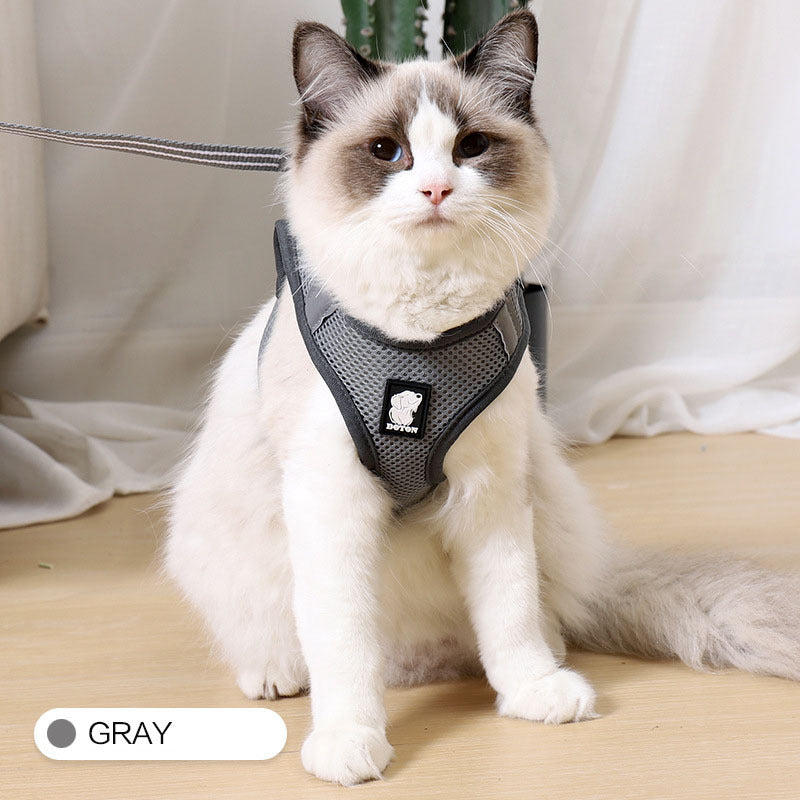 Harnais anti-fugue pour chat de traction