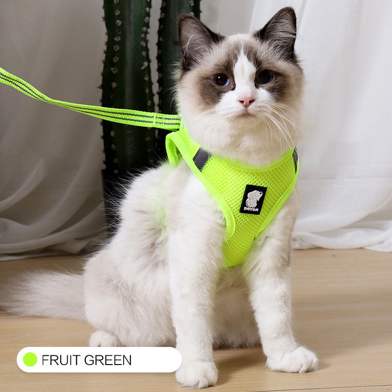 Harnais anti-fugue pour chat de traction